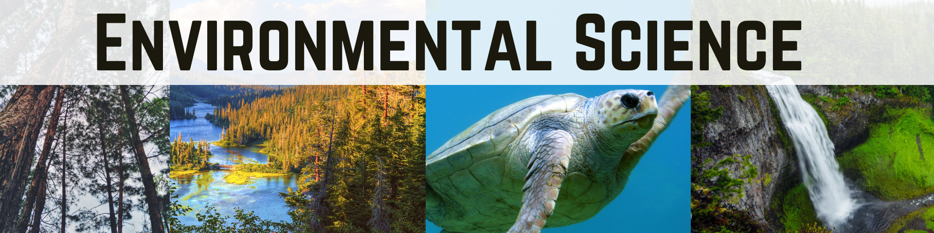 Images of rivers, forests, mountains, and sea live with the words, “environmental science”