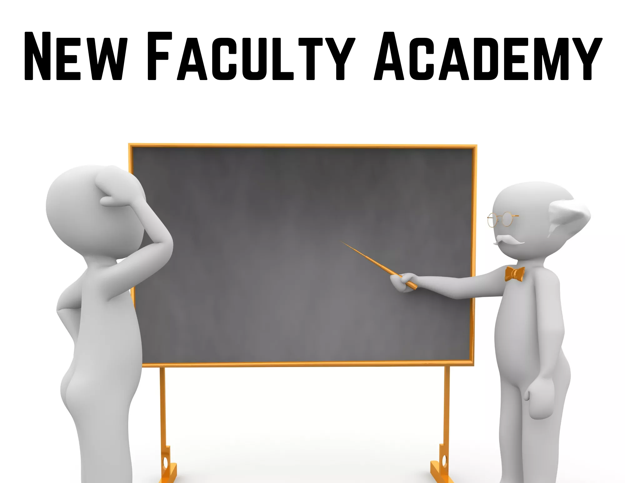 New Faculty Academy