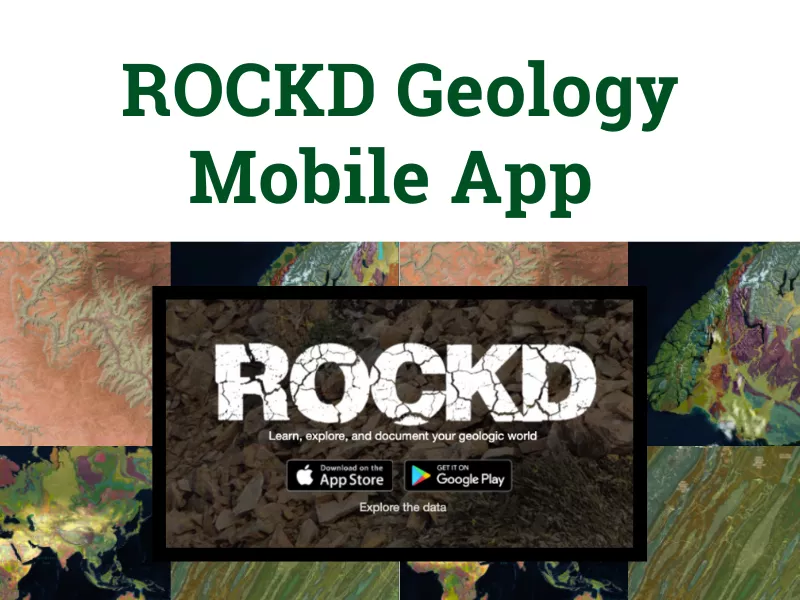 Rockd Mobile App